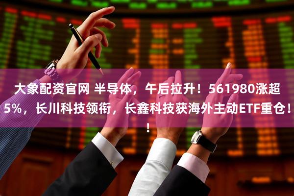 大象配资官网 半导体，午后拉升！561980涨超5%，长川科技领衔，长鑫科技获海外主动ETF重仓！