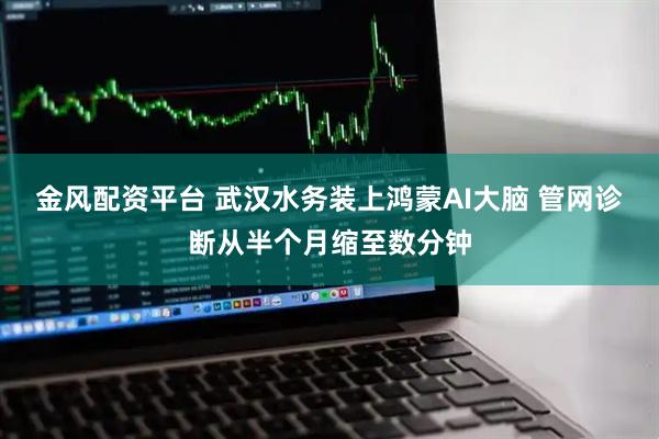 金风配资平台 武汉水务装上鸿蒙AI大脑 管网诊断从半个月缩至数分钟