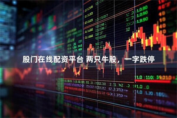股门在线配资平台 两只牛股，一字跌停